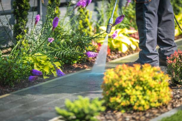 Best Machinery and Equipment Cleaning  in Winter Gardens, CA